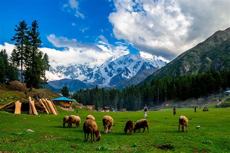 Best Of Pakistan Tour It Covers Variety Of Cultural And Historical Sites