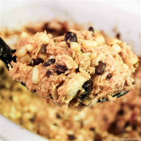 Mexican Shredded Chicken In A Crock Pot 101 Cooking For Two