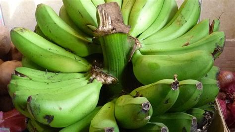 Bill Gates Funded Super Bananas Ready For Human Testing Cnet
