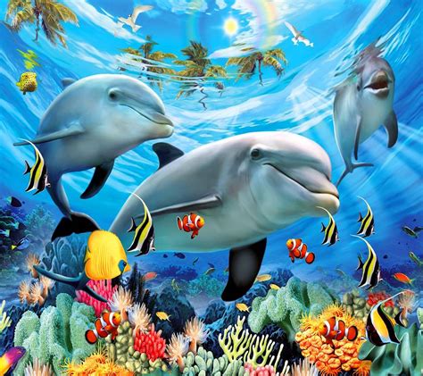 Dolphins Underwater Wallpapers Top Free Dolphins Underwater Backgrounds Wallpaperaccess