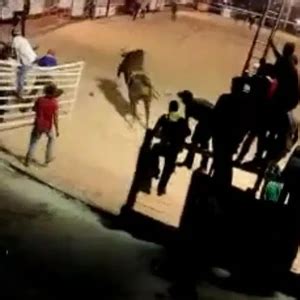Touro Invade Arquibancada E Fere Pessoas Durante Rodeio Em Minas