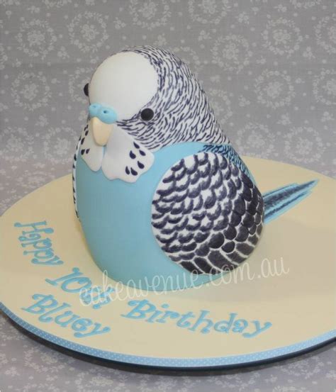 Sculpted Budgie Cake By Cake Avenue With Hand Painted