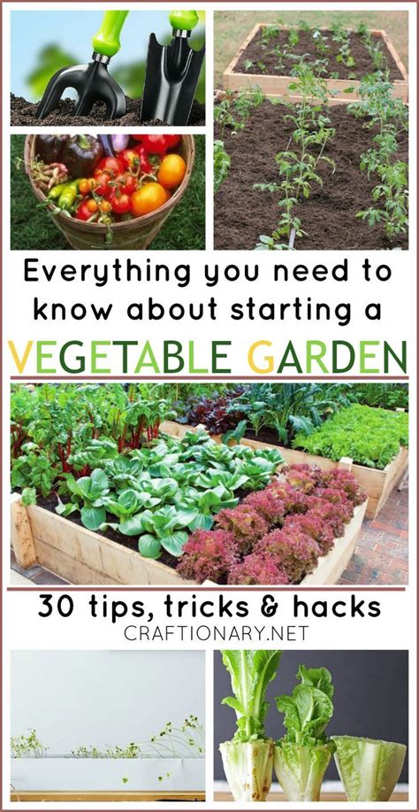 Best Gardening Tips And Tricks Beautiful Flower Arrangements And