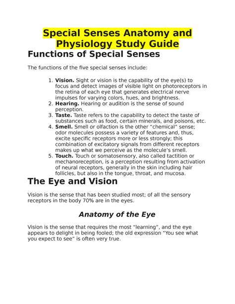 Special Senses Anatomy And Physiology Study Guide Special Senses