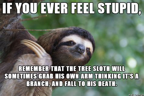 20 Seriously Hilarious Sloth Memes To Make Your Day Better Sloth