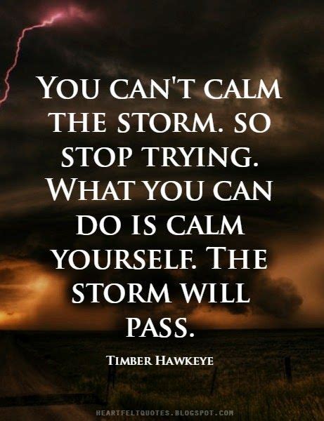 You Cant Calm The Storm So Stop Trying What You Can Do Is Calm