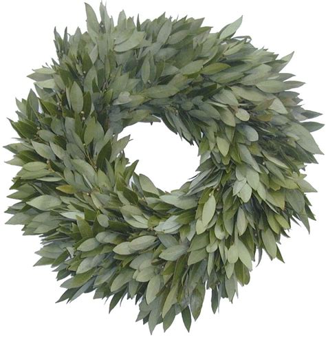 Laurel Wreath Top Notch Fresh Bayleaf Wreath