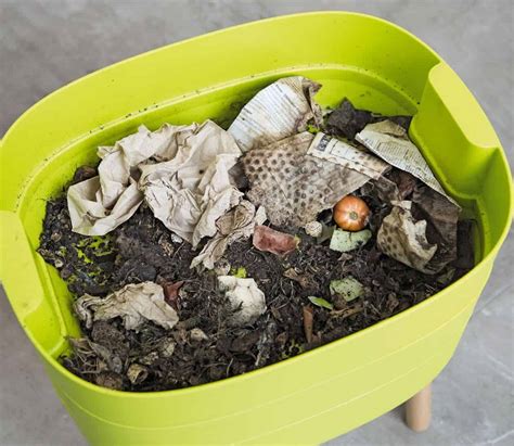 Indoor Compost Bins For A Waste Free Household