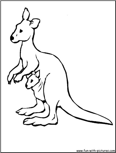 Australian Animals Colouring Pages At Free Printable