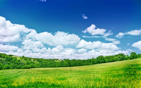 Field Nature Sky Wallpaper 2560x1600 30075