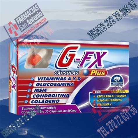 G Fx Plus 500mg Vitaminas A Y D Glucosamida Msm Condroit