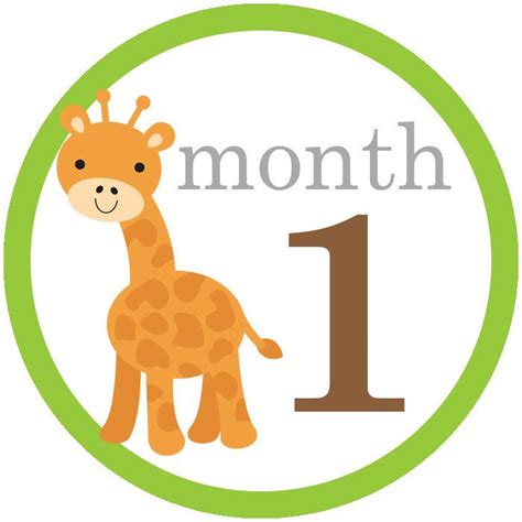 1 Month Baby Month Stickers 1 Month Baby Baby Month By Month