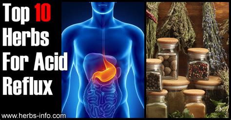 10 Herbs For Acid Reflux Herbs Health And Happiness
