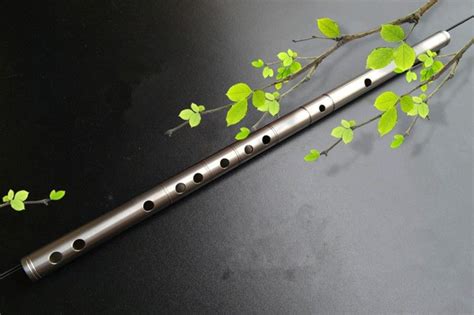 Titanium Metal Flute Dizi Cdefg Key Flute Open Hole Profissional
