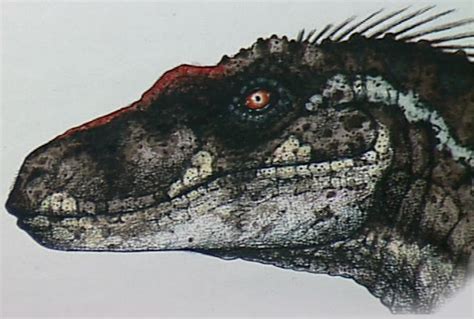 Jurassic Park 3 Concept Art Male Sorna Raptor By