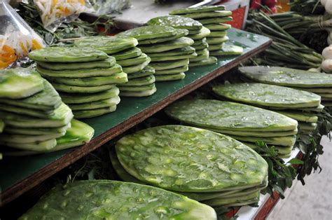 You can find cactus fruit in some supermarkets or farmers markets. Nopales (Cactus leaves) | EatFresh