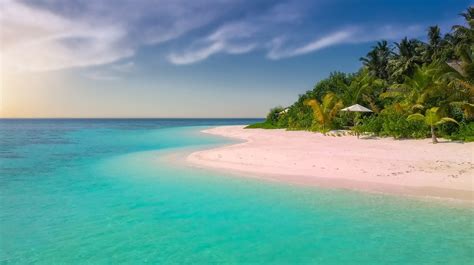 🏖️ Las Mejores Playas Paradisíacas Del Caribe Viajeros Ocultos