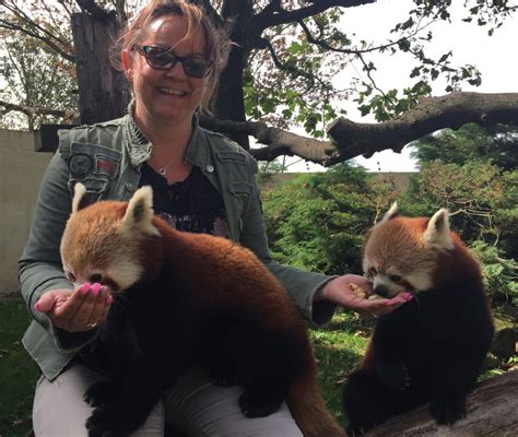 The Red Panda Experience - Paradise Park