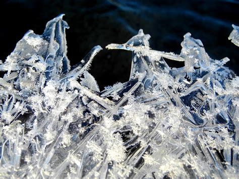 Free Images Water Branch Snow Winter Frost Ice Season Icing