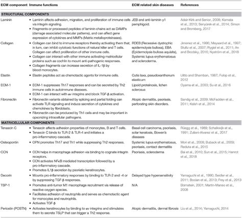 Frontiers Unraveling The Ecm Immune Cell Crosstalk In Skin Diseases