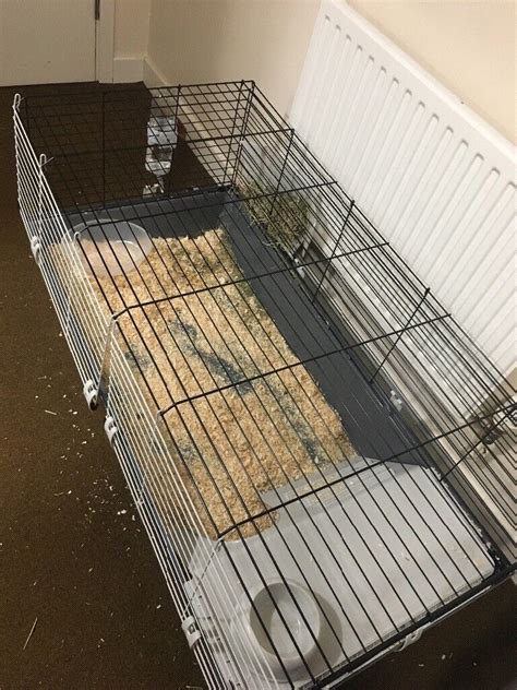 Second Hand Large Indoor Rabbit Cage In Colchester Essex Gumtree