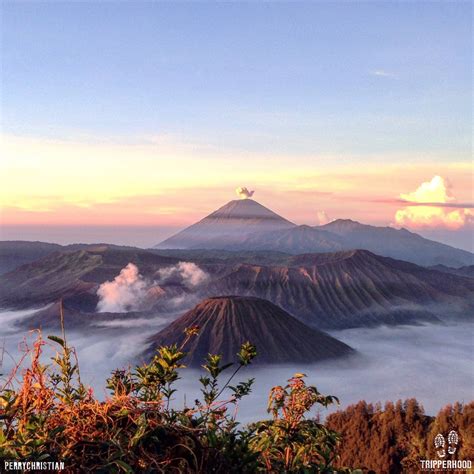Tips Do And Dont When Visiting Bromo Tripperhood