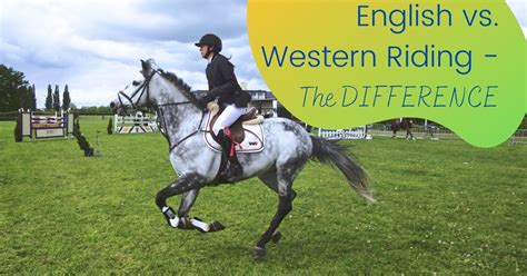 English Vs Western Riding The Difference The Horses Guide
