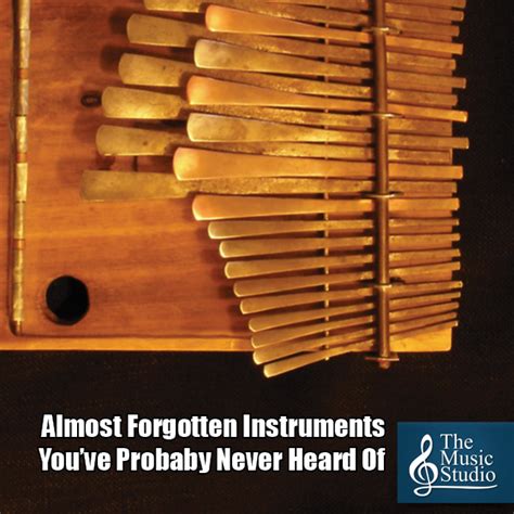 Forgotten Instruments Youve Never Heard Of The Music Studio