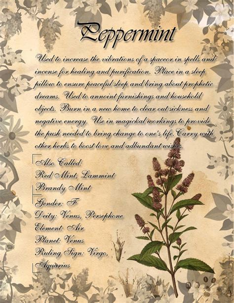 Book Of Shadows Herb Grimoire Peppermint By Conigma On Deviantart