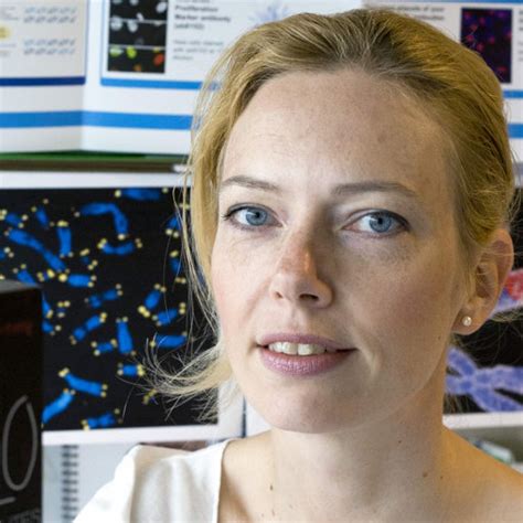 Death of jacqueline jacob at quiquandon. Jacqueline J L Jacobs | Netherlands Cancer Institute, Amsterdam | on ResearchGate