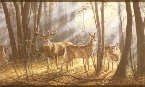 Wildlife Murals Wildlife Wallpaper Borders Deer