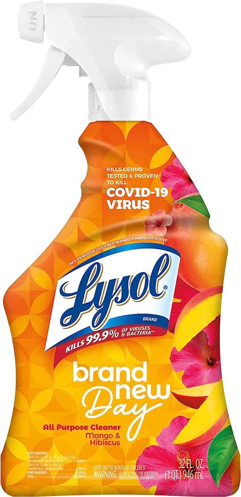 Lysol All Purpose Cleaner Sanitizing And Nepal Ubuy
