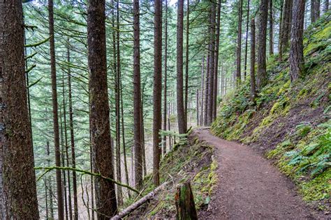 The Multnomah Falls Hike The Best Route To Follow For Amazing Views