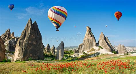 Hot Air Balloons Flying Over A Field Of Poppies Cappadocia Turkey