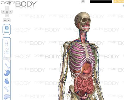 We did not find results for: ZygoteBody, para ver el cuerpo humano en 3D
