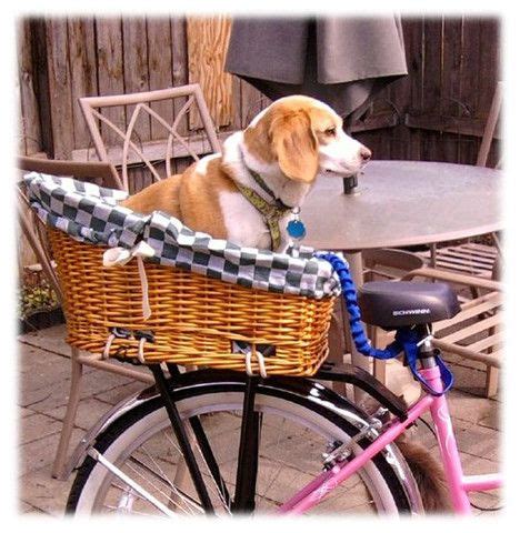 Buy the best and latest bike basket on banggood.com offer the quality bike basket on sale with worldwide free shipping. Dogs on Bikes | Dog bike basket, Biking with dog, Dog carrier