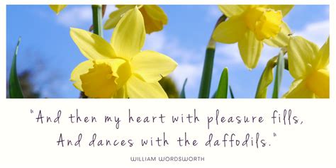 Daffodil Quotes Shortquotescc