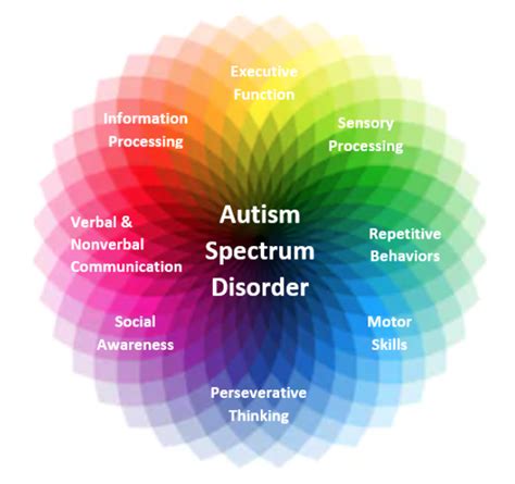 What Is Autism Spectrum Disorder Asd The Key School