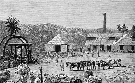 Sugar Mills On A Sugar Cane Plantation At St Thomas 11795382 Poster