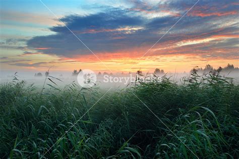Colorful Sunrise At The Field With Morning Fog Royalty Free Stock Image