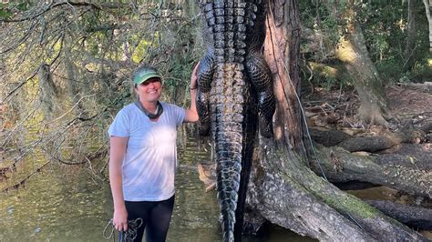 Hunting Massive South Carolina Alligator With The Gator Hunting Legend