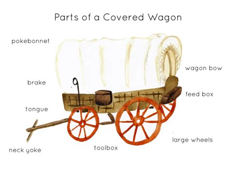 Parts Of A Covered Wagon Poster Print By Teach Simple
