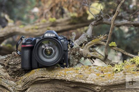 Nikon D850 Review A Need For Speed Meets Exceptional