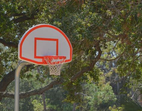 Basketball Hoop On Outside Court In Largo Florida Stock Photo Image