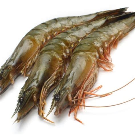 Whole Extra Large King Prawns Frozen Fish Shack Home Delivery