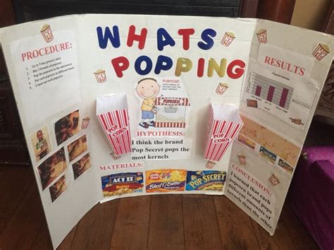 Popcorn Science Project Popcorn Science Project Science Projects