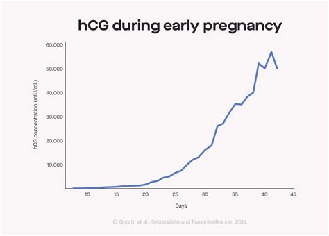 home pregnancy tests how they work and when to test