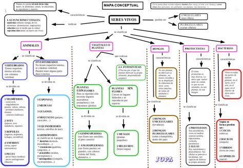 Ciencias Naturales Mapa Conceptual Seres Vivos Y No Vivos My XXX Hot Girl