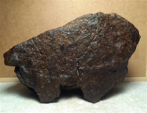 Rocky Meteorite Chondrite Nwa Animal Xl 68 Kg Catawiki