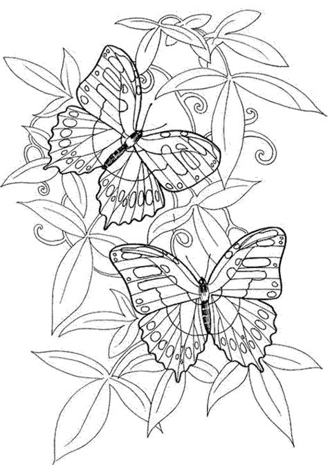 Advanced Butterfly Coloring Pages For Adults Coloring Pages